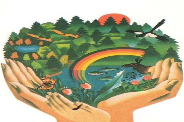 Береги природу для детей