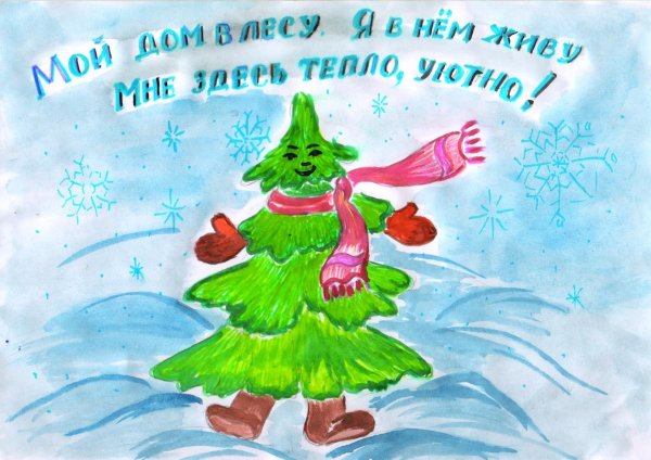 Сбережем елку