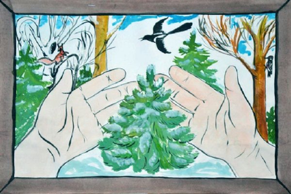 Берегите лесную красавицу