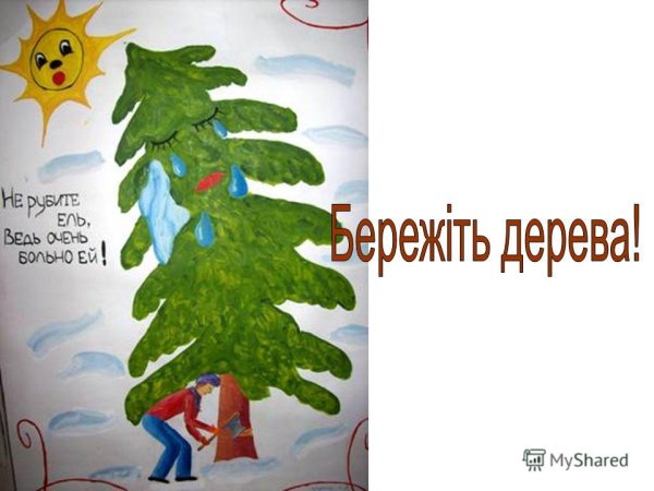 Берегите елочку плакат