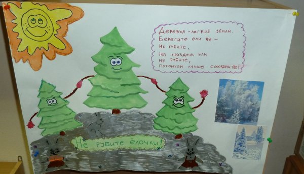 Листовка в защиту хвойных деревьев