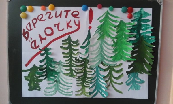 Сохраним елку красавицу наших лесов