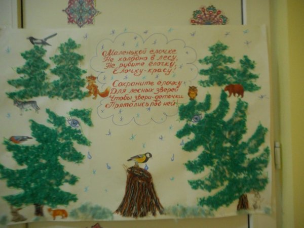 Экологическая акция елочка зеленая Иголочка в детском саду