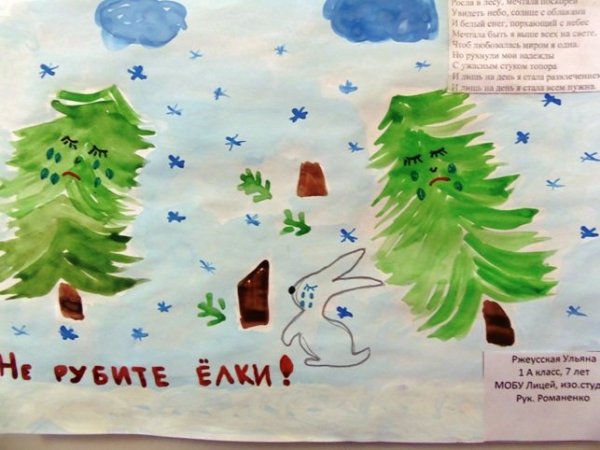 Защита ели рисунок