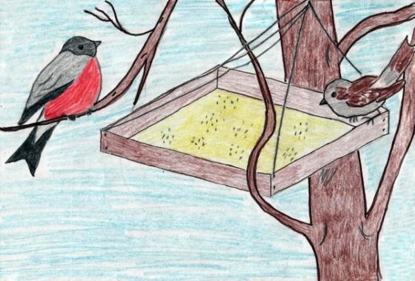 Покормите птиц зимой