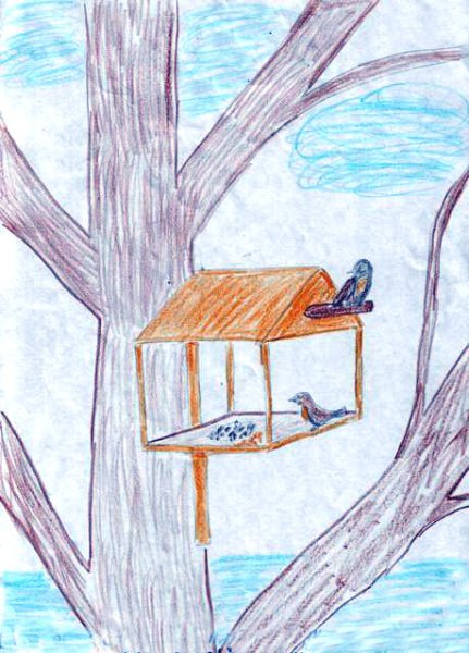 Рисование покормим птиц