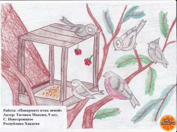 Рисование птицы зимой