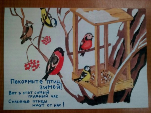 Рисование покормим птиц