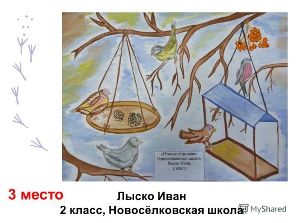 Покорми птиц весной