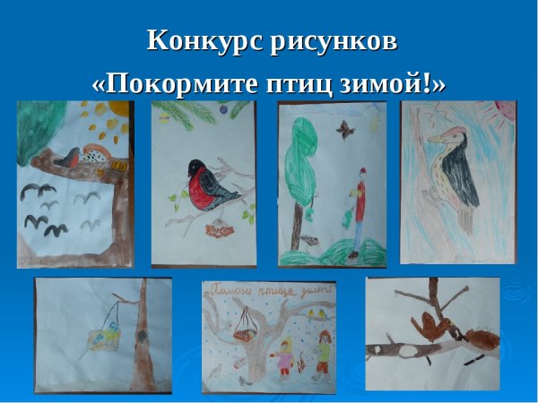 Тяжело птицам зимой