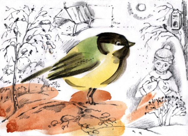 Рисунок призыв Покормите птиц зимой