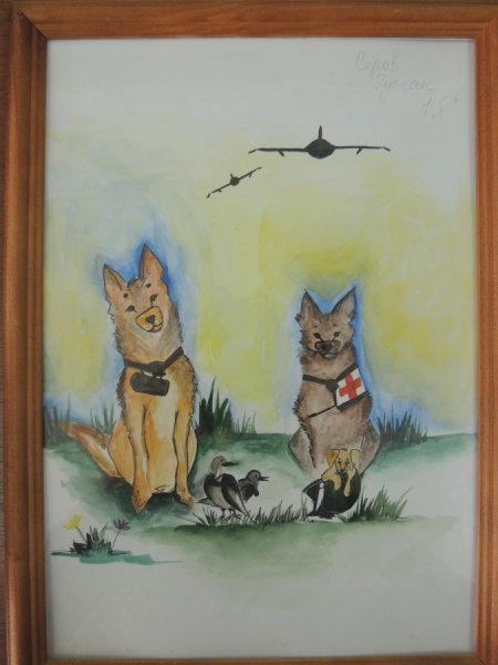 Рисунки животных на войне