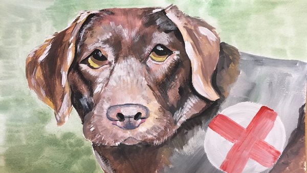 Животные на войне рисунок