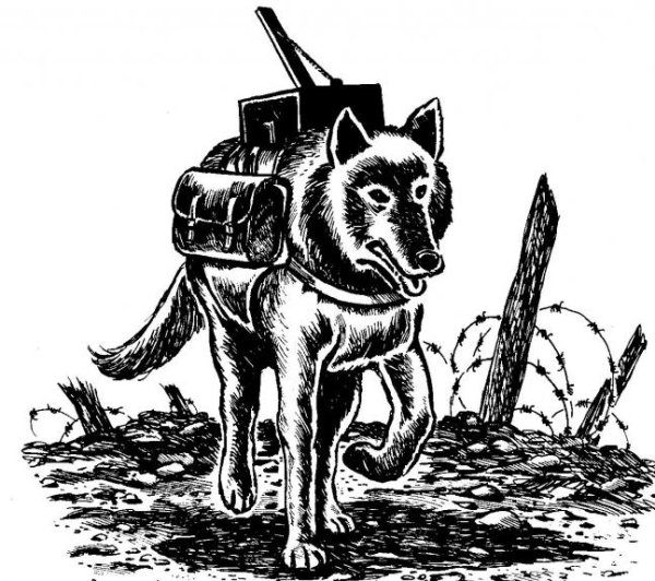 Собаки герои Великой Отечественной войны 1941-1945