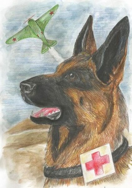 Собака на войне рисунок