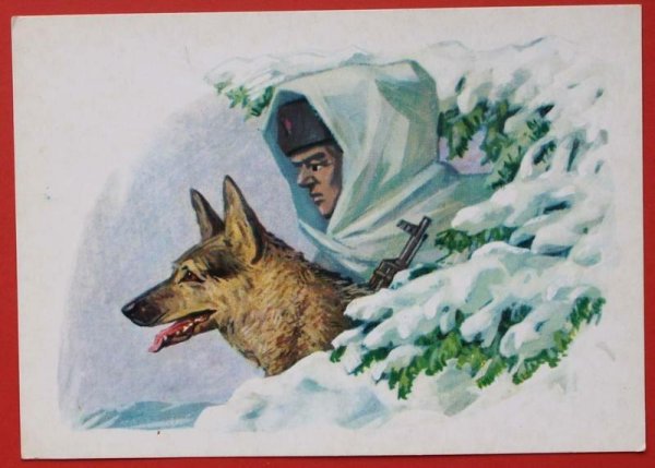 Собаки миноискатели ВОВ