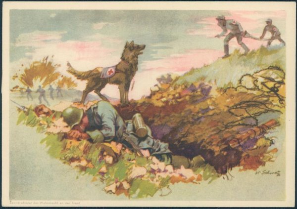 Серия сюжетных картин собака санитар