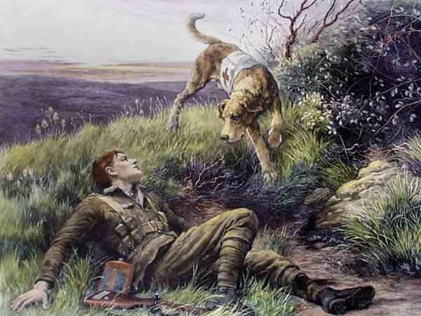 Собаки истребители танков в годы ВОВ