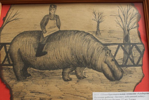 Раскраска про войну и животных