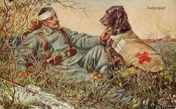 Животные во время войны рисунки