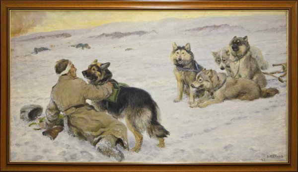 Рисунок на тему собака на войне