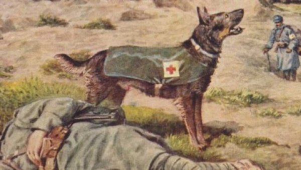 Константин Флеров картины животных