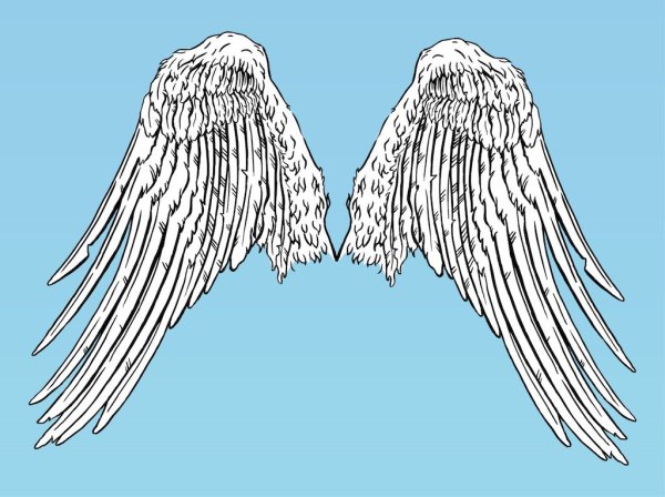 Маленькие Крылья