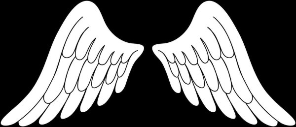 Стилизованные Крылья ангела