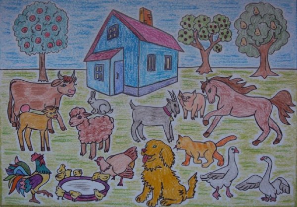 Рисунки с домашними животными