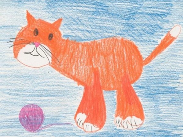 Рисование домашние животные подготовительная группа