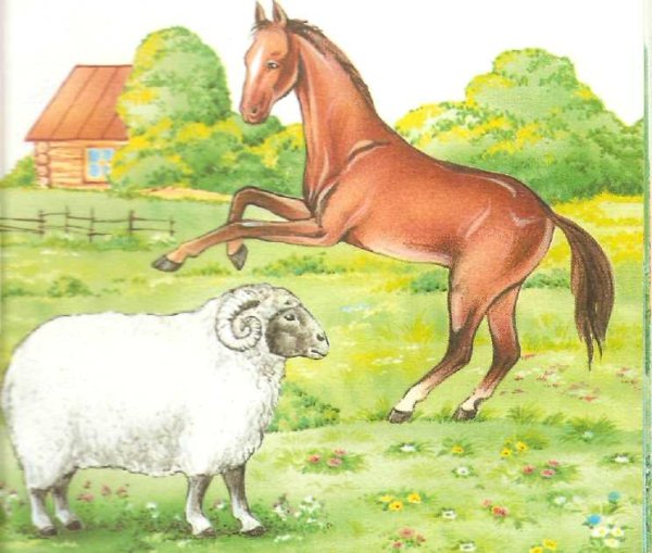 Домашние животные лошадь для детей
