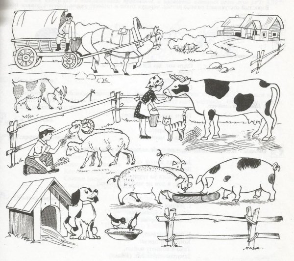 Домашние животные задания