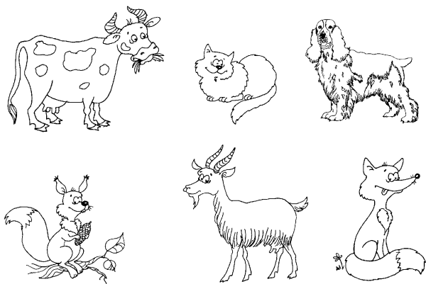 Домашние животные задания для дошкольников