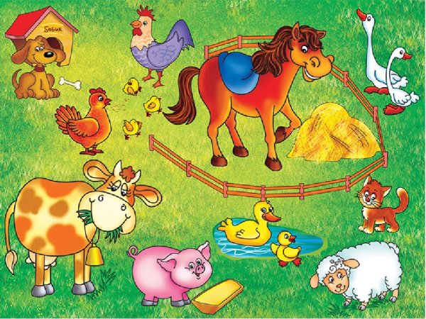 Домашние животные развивашки для детей