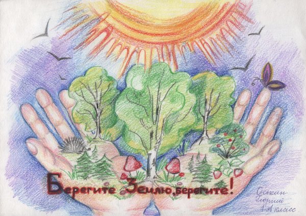 Экология рисунок