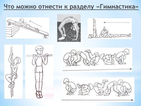 Физкультура раздел гимнастики