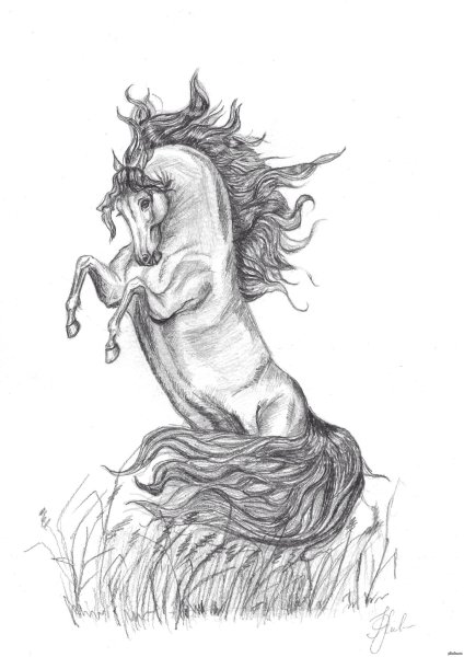 Баллада Лесной царь рисунок лёгкий