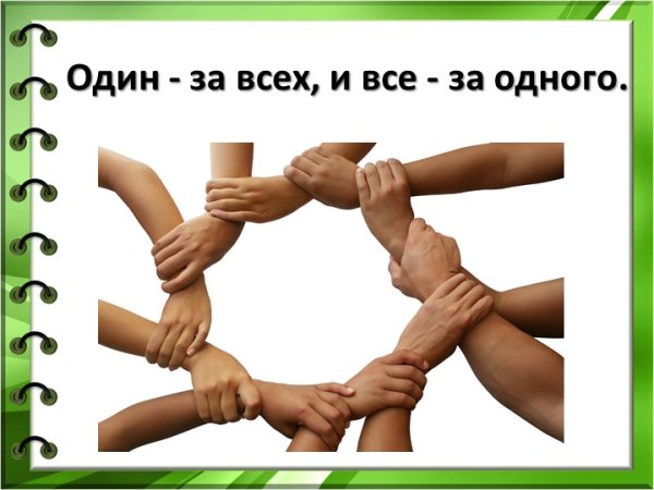 Одна за всех