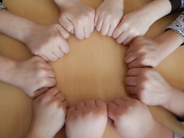 Одна за всех