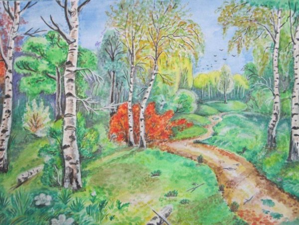 Рисунки природы