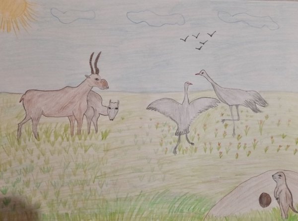 Рисование степи