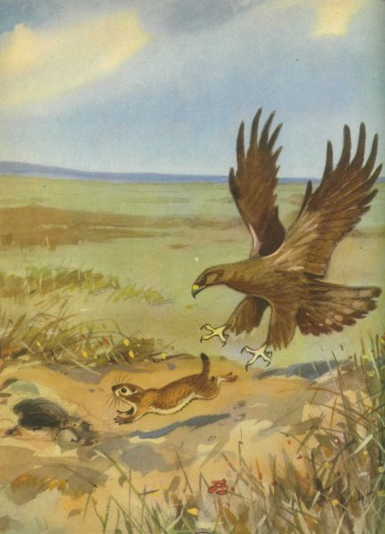 Рисунок на тему тундра