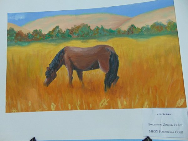 Зона степей рисунок