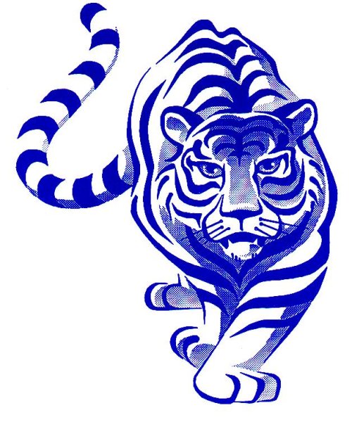 Тигр символ