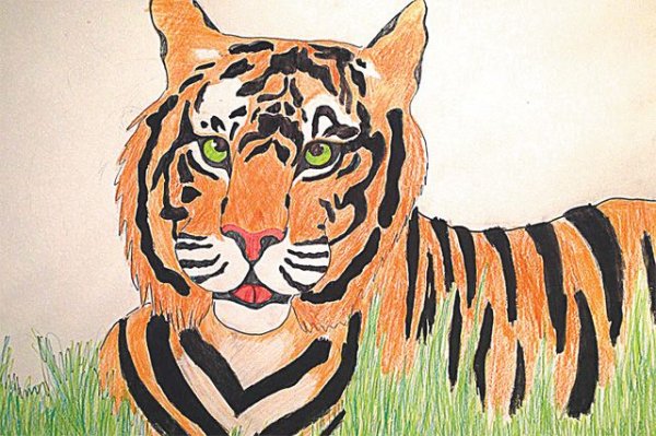 Детский рисунок тигра