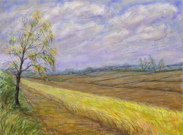 Николай Некрасов Несжатая полоса