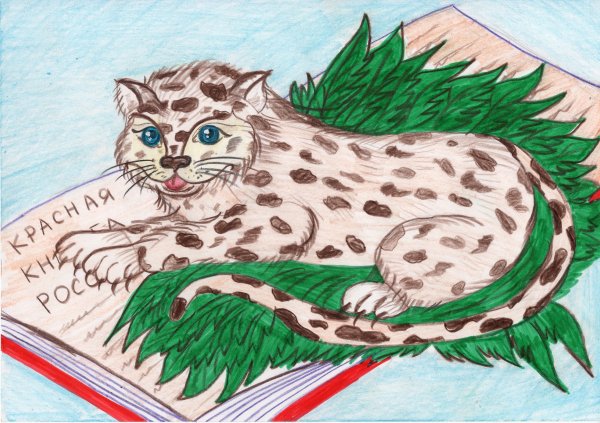 Животные красной книги нарисовать