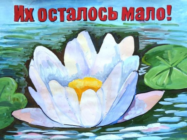 Красная книга рисунок