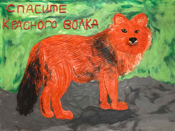 Рисование животные из красной книги