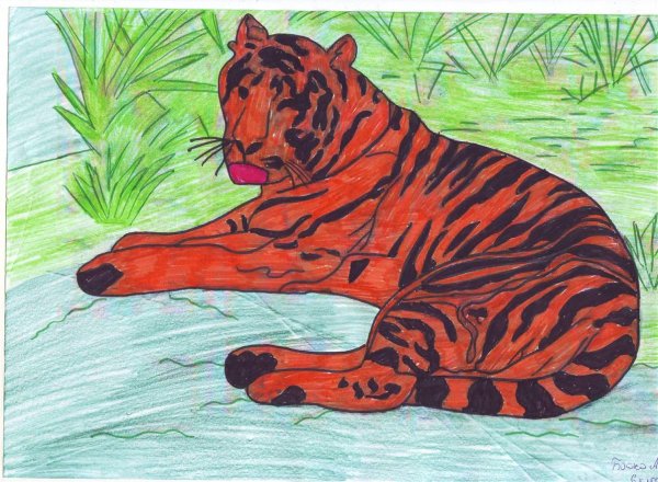 Крупные рисунки животных